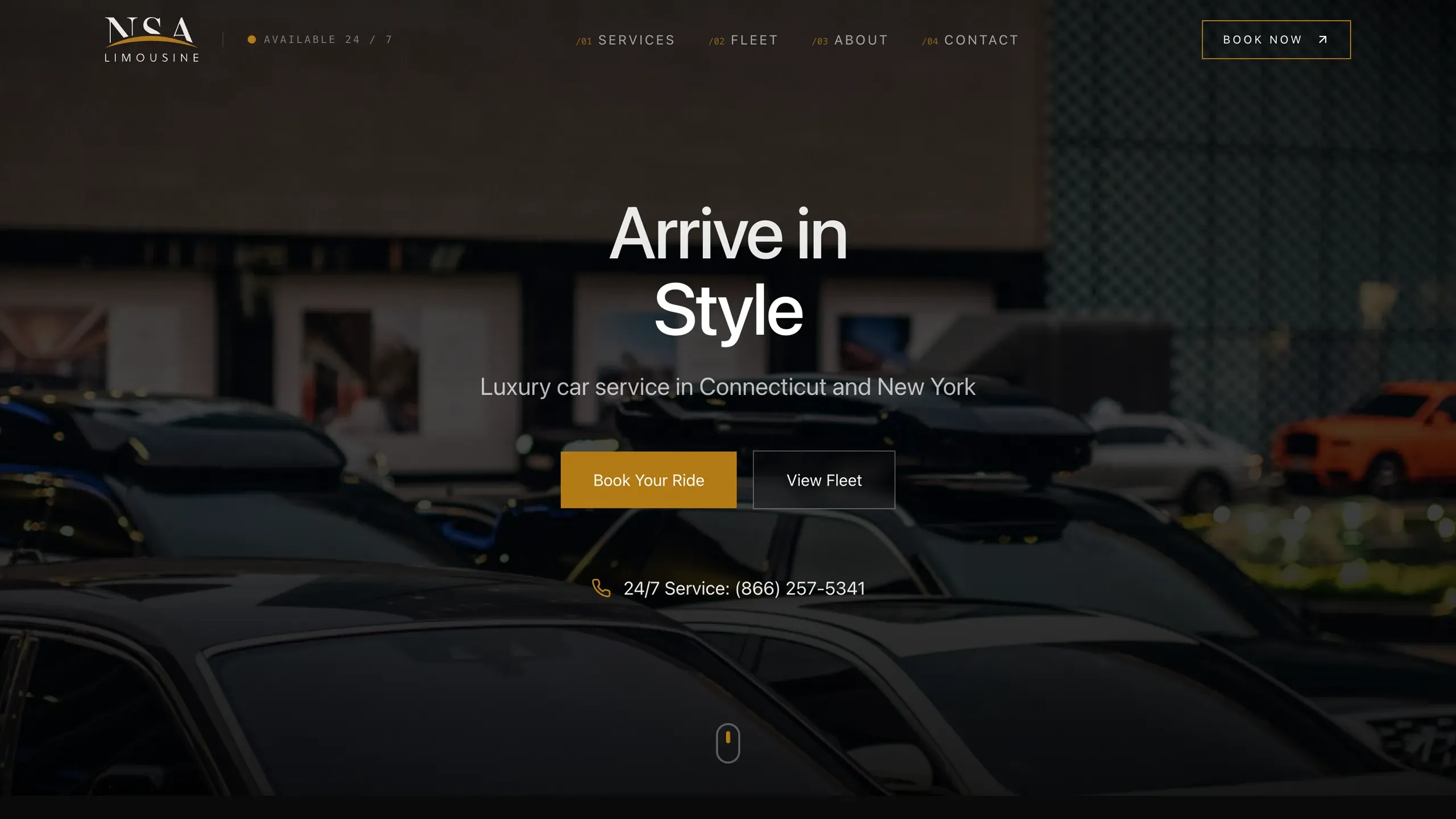 Screenshot of NSA Limousine (1)